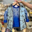 2541-پافرسیلیکونی