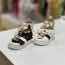 2430- صندل خرسی