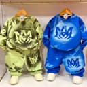 2729-ست ابروبادی امی