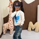 2591-ست پاپیون آبی